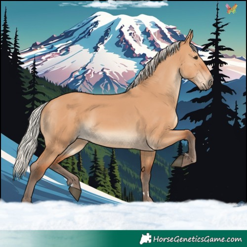 Horse Color:Silver Bay Dun 