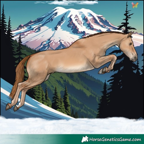 Horse Color:Red Dun 