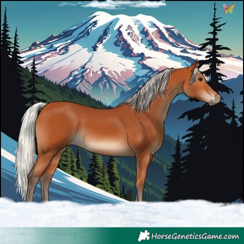 Horse Color:Silver Bay
