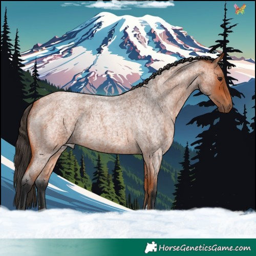 Horse Color:Bay Roan