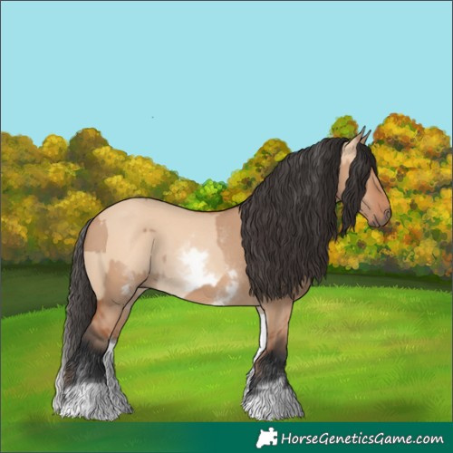 Horse Color:White Spotted Bay Dun Rabicano and White Spotted Bay Dun Rabicano