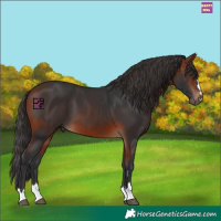 Horse Color:Bay Mushroom 