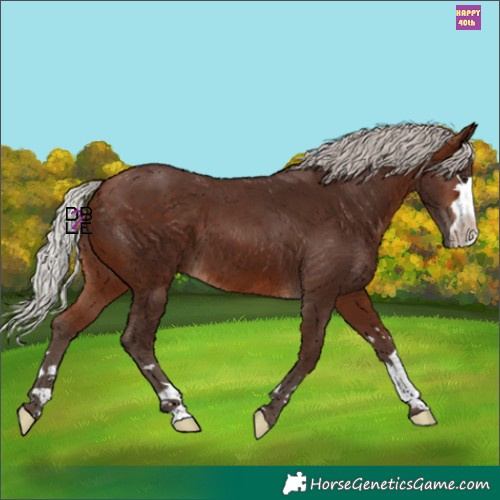 Horse Color:Silver Brown 