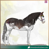 Horse Color:White Spotted Brown Mushroom Splash