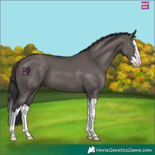 Horse Color:Smoky Grullo Splash