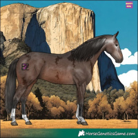 Horse Color:Gray Bay Ice Tobiano