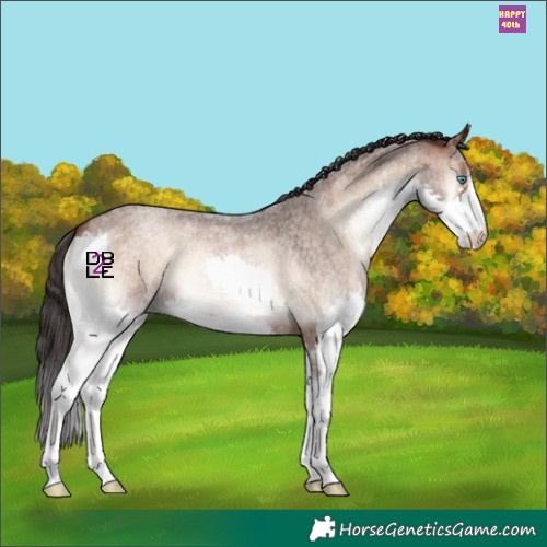 Horse Color:Brown Roan Onyx Splash