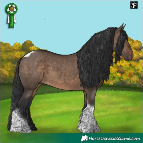 Horse Color:Brown Dun Tobiano 