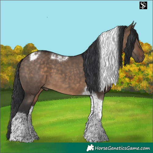 Horse Color:Brown Dun Tobiano 