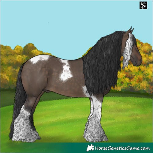 Horse Color:Brown Dun Tobiano 