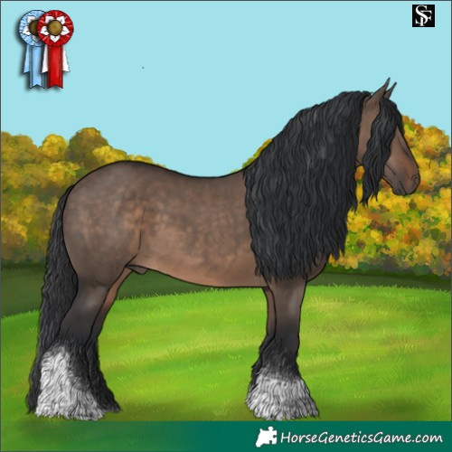 Horse Color:Brown Dun Tobiano 