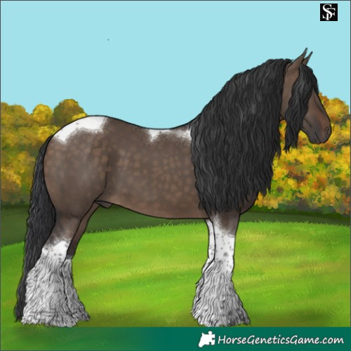 Horse Color:Brown Dun Tobiano