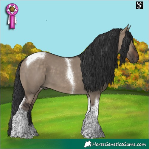Horse Color:Brown Dun Tobiano