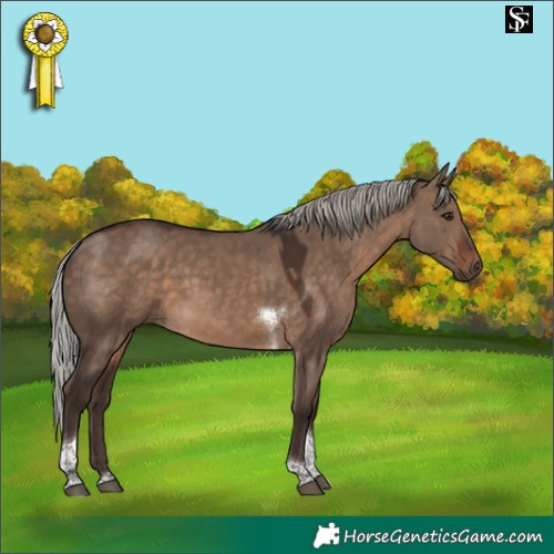 Horse Color:Silver Brown Dun Tobiano