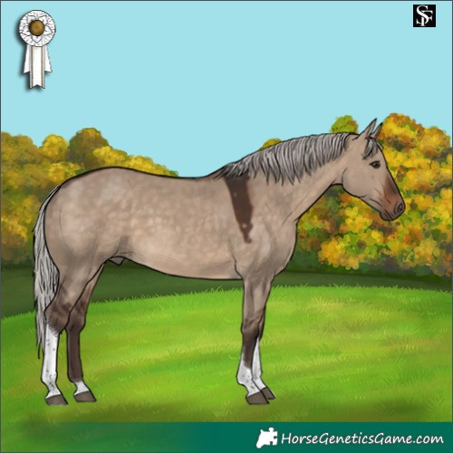 Horse Color:Silver Brown Dun Tobiano