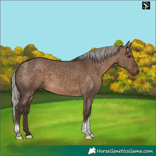 Horse Color:Silver Brown Dun Tobiano