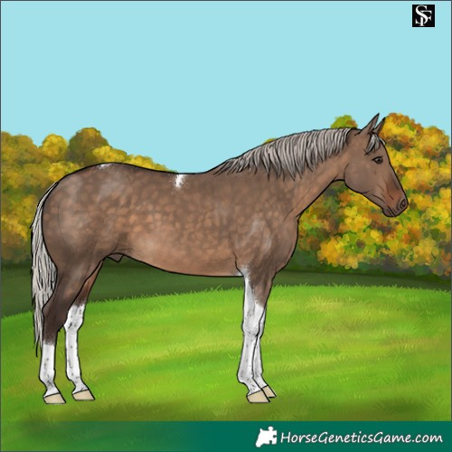 Horse Color:Silver Brown Dun Tobiano
