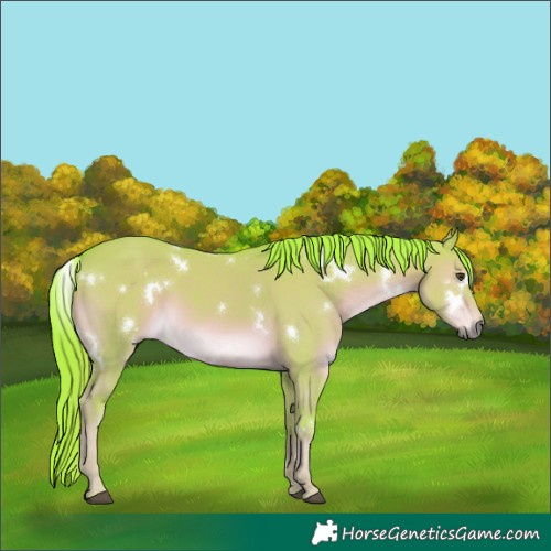 Horse Color:Watercolor White Spotted Liver Red Dun