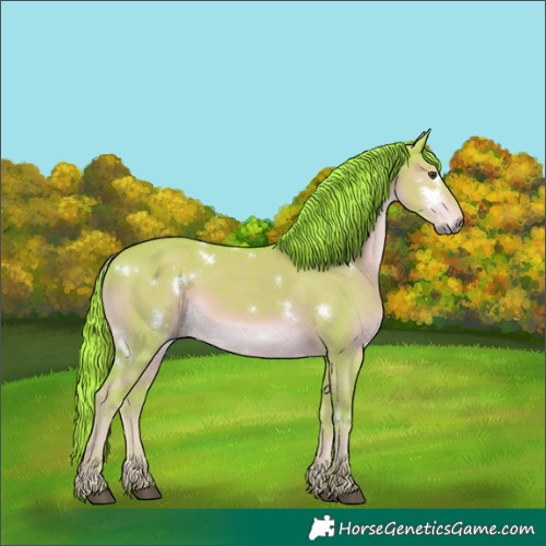 Horse Color:Watercolor White Spotted Liver Red Dun