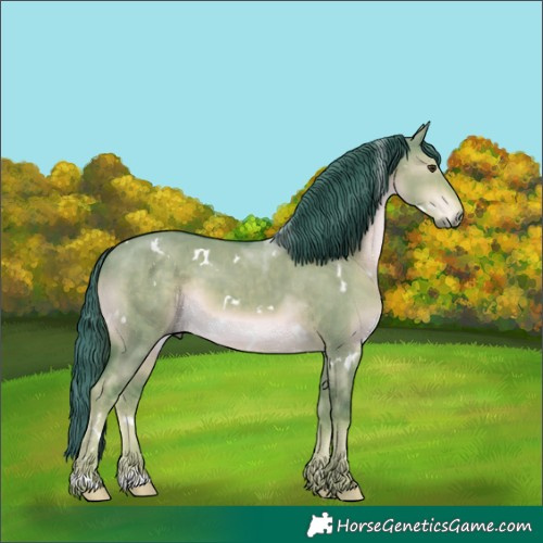 Horse Color:Watercolor White Spotted Liver Red Dun