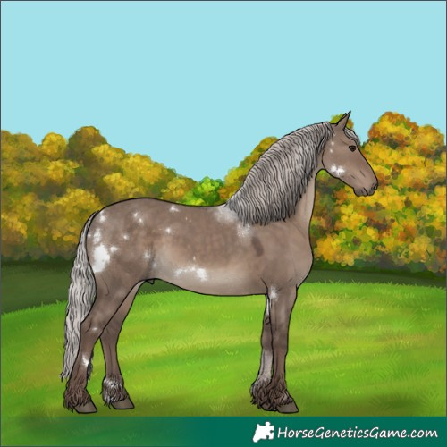 Horse Color:White Spotted Silver Grullo 
