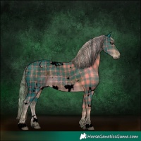 Horse Color:Void Plaid  White Spotted Liver Chestnut 