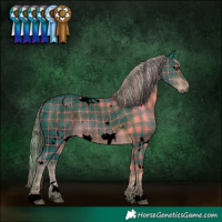 Horse Color:Void Plaid  White Spotted Liver Chestnut 