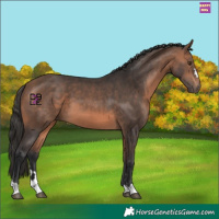 Horse Color:Bay Mushroom