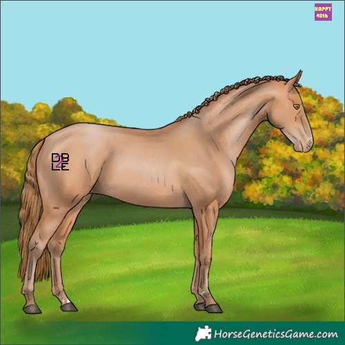 Horse Color:Bay Pearl Rabicano