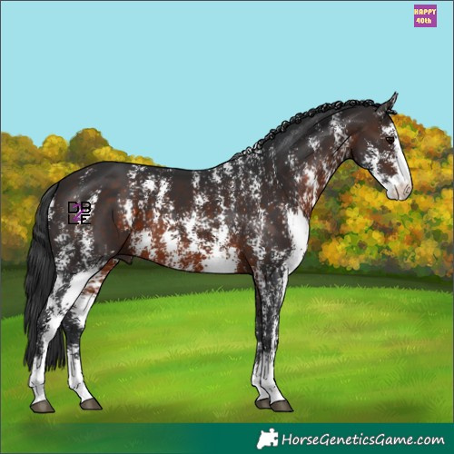 Horse Color:Brown Sabino 