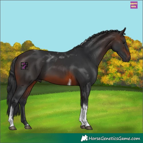 Horse Color:Brown Mushroom Tobiano 