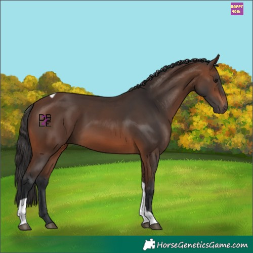 Horse Color:Brown Tobiano