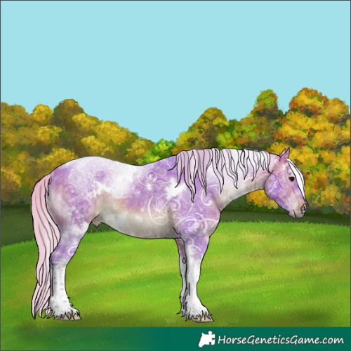 Horse Color:Watercolor White Spotted Silver Brown Ice Tobiano Rabicano 
