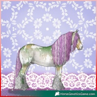 Horse Color:Painted Watercolor White Spotted Silver Brown Chinchilla Onyx