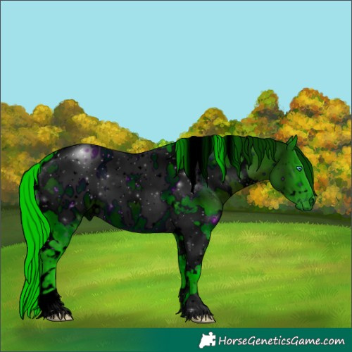 Horse Color:ERROR: UNKNOWN ANOMALY