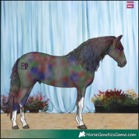 Horse Color:Nacre Smoky Black Sabino Tobiano