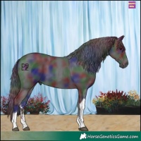Horse Color:Nacre Smoky Black Sabino Tobiano