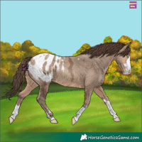 Horse Color:Amber Champagne Ice Blanket 
