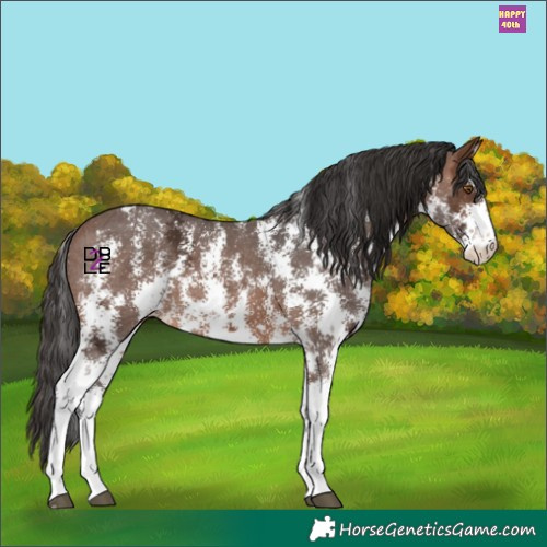 Horse Color:Brown Ice Sabino 