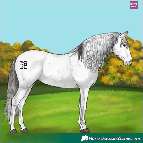 Horse Color:Bay Sabino Blanket