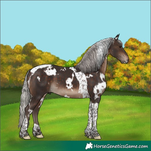 Horse Color:White Spotted Silver Brown Tobiano 