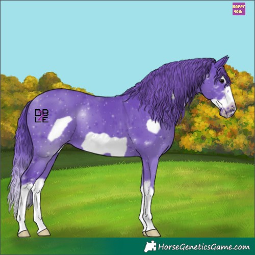 Horse Color:Watercolor Black Sabino Splash Frame