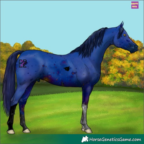 Horse Color:ERROR: UNKNOWN ANOMALY
