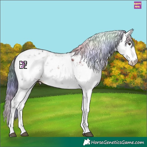 Horse Color:Nacre Liver Chestnut Sabino