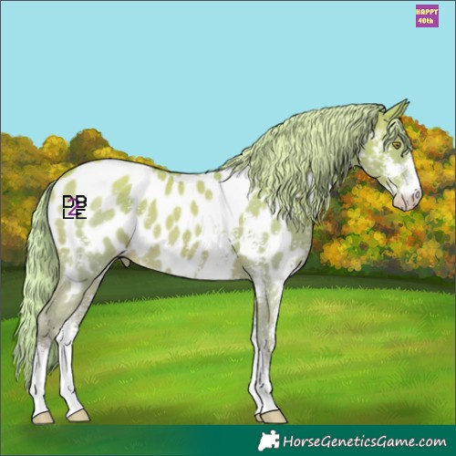 Horse Color:Watercolor Gold Champagne Sabino Appaloosa