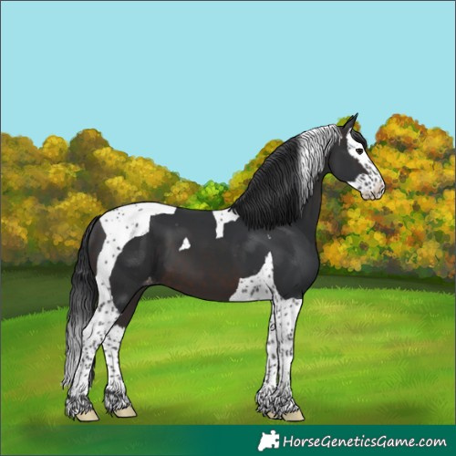 Horse Color:Brown Splash Tobiano Varnish