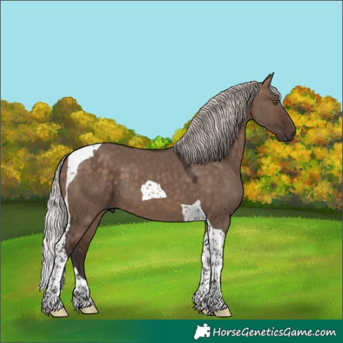 Horse Color:Silver Brown Dun Tobiano