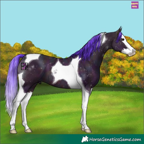 Horse Color:Watercolor Midnight Bay Dun Splash Tobiano