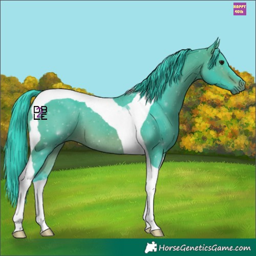 Horse Color:Watercolor Bay Tobiano 