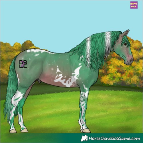 Horse Color:Watercolor Bay Tobiano